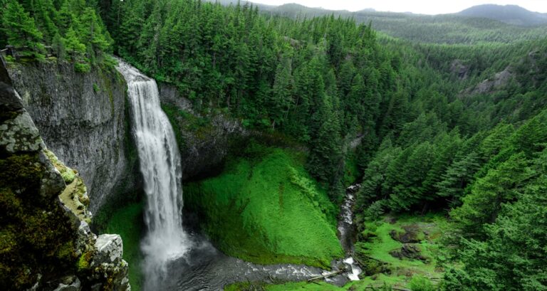 Nature’s Healing: Care and Wellness