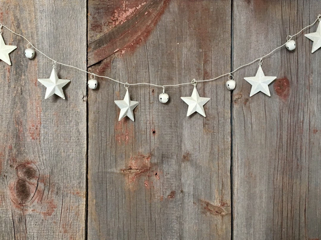 Photo Barn door